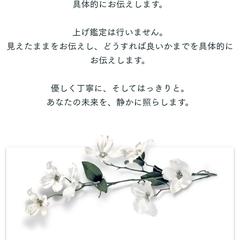 悩みを迷宮から解き明かし、 あなたが進むべき道をお伝えします
