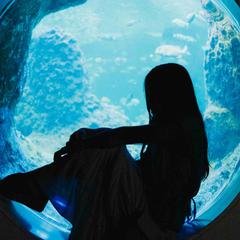 江ノ島水族館ポートレート撮影