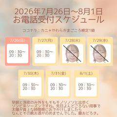 7/26(日)～週間スケジュール