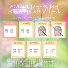 8/2(日)～週間スケジュール