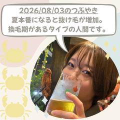 つぶやき