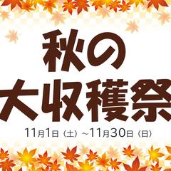 秋の大収穫祭