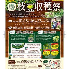 チラシデザイン