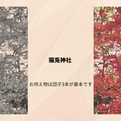 季節に添えて