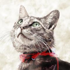 猫の似顔絵