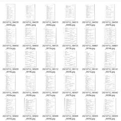 英熟語の書籍からデータ入力・文字起こし