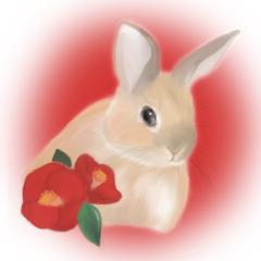 ペット似顔絵【うさぎ】