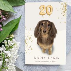 20周年の記念イラスト＊