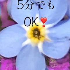 5分でもOK‼️