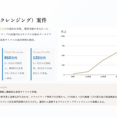単品通販（クレンジング）案件実績