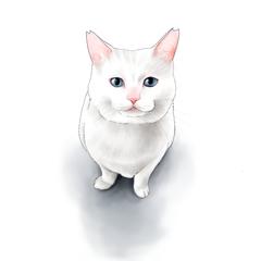 ココナラサンプル白猫