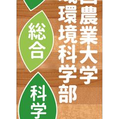 木製看板デザイン
