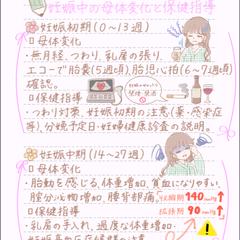 妊娠中の母体変化、保健指導①