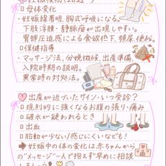 妊娠中の母体変化、保健指導②