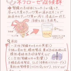 ネフローゼ症候群①