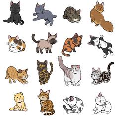 カードイラストの猫