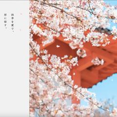 【HTML/CSS】縦書きが美しい和風サイト制作