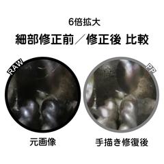 極細構造の6倍拡大補正表示