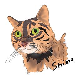 シマちゃん