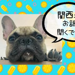 関西弁♡なんでもお話しできれば嬉しいです！遠慮なく5分でも◎