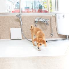 ペット共生住宅