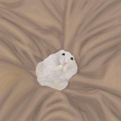 動物のイラスト製作