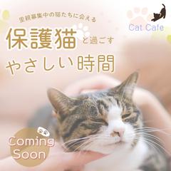 保護猫カフェバナー