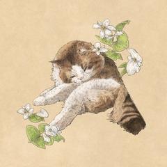 猫と花 クラフト紙