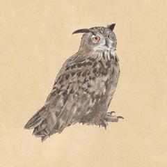 ミミズク クラフト紙