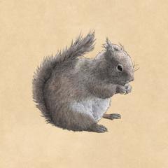 リス クラフト紙