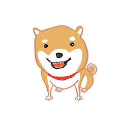 柴犬