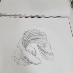 ベタ 鉛筆