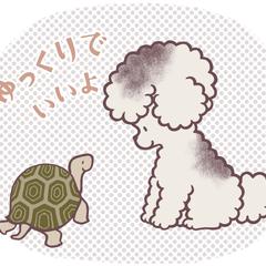 キムチのキモチ　LINEスタンプ