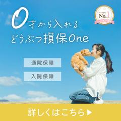 ペット保険バナー