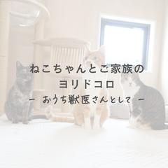 Canva｜Instagramピン留め投稿制作