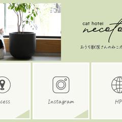 LINEリッチメニュー｜ねこ専門ホテル制作