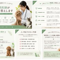 現役獣医師によるオンライン健康相談・飼育アドバイス