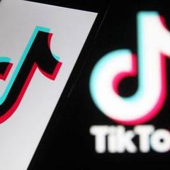 TikTok増加サービス