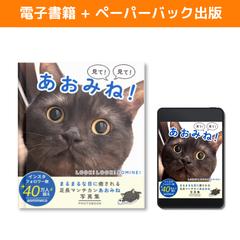 電子書籍・ペーパーバック制作および出版代行