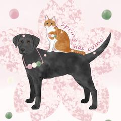 Spring has come！