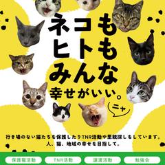 チラシデザイン