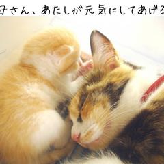 一緒に育てていきましょう♪