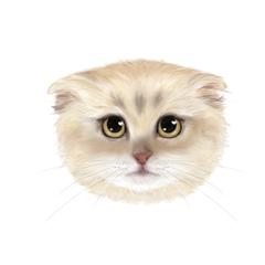 リアル系ねこちゃん