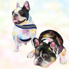 愛犬の似顔絵をアートに！