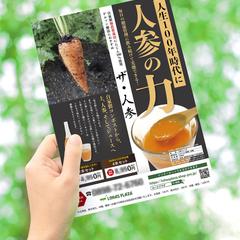 人参ドリンク フライヤー