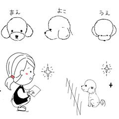 テディーベアカット観察中