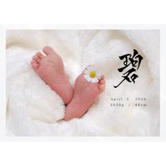 写真入り命名書