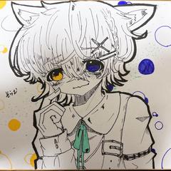 オッドアイくん