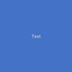 Test（A4横）