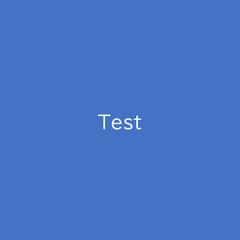 Test（A4横）